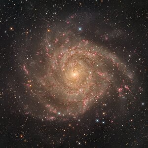 IC 342, die "Verborgene Galaxie"