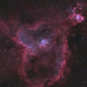 noch ein Seestern - IC1805