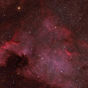 NGC7000 2026-10-24 414mm ASI2600MC L-Pro RGB-Ha.jpg
