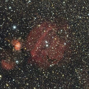 SH2-232_Great Pumpkin Nebula mit Redcat51