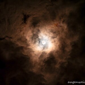 Vollmond-Dramatik