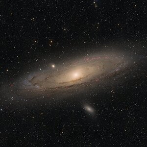 Andromedagalaxie(m31)