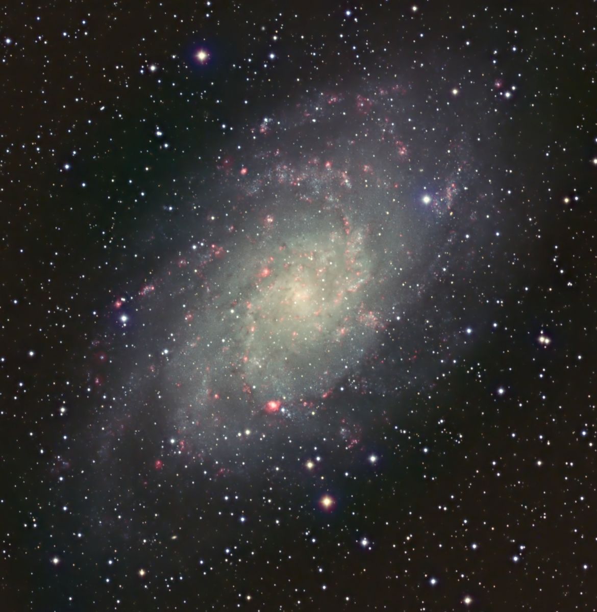 12,5 Std. M 33