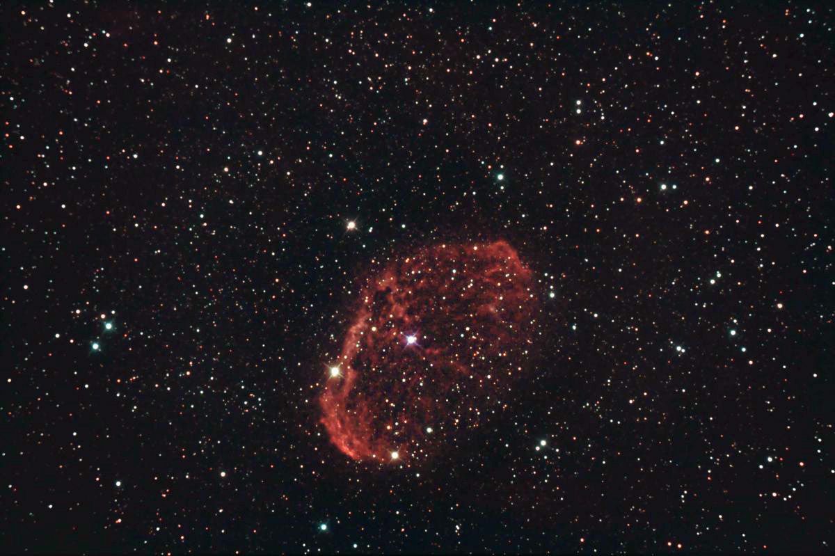 15372_3.jpg