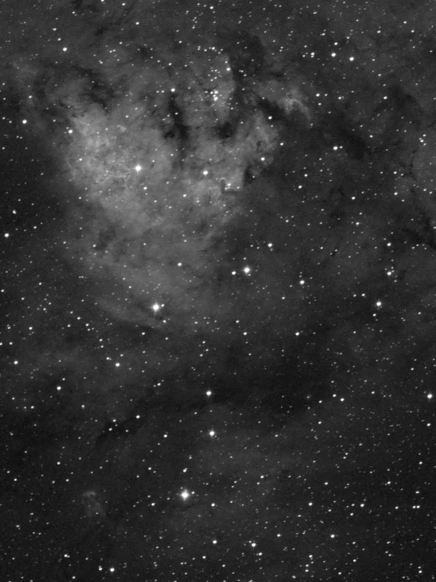 200mm_3.jpg