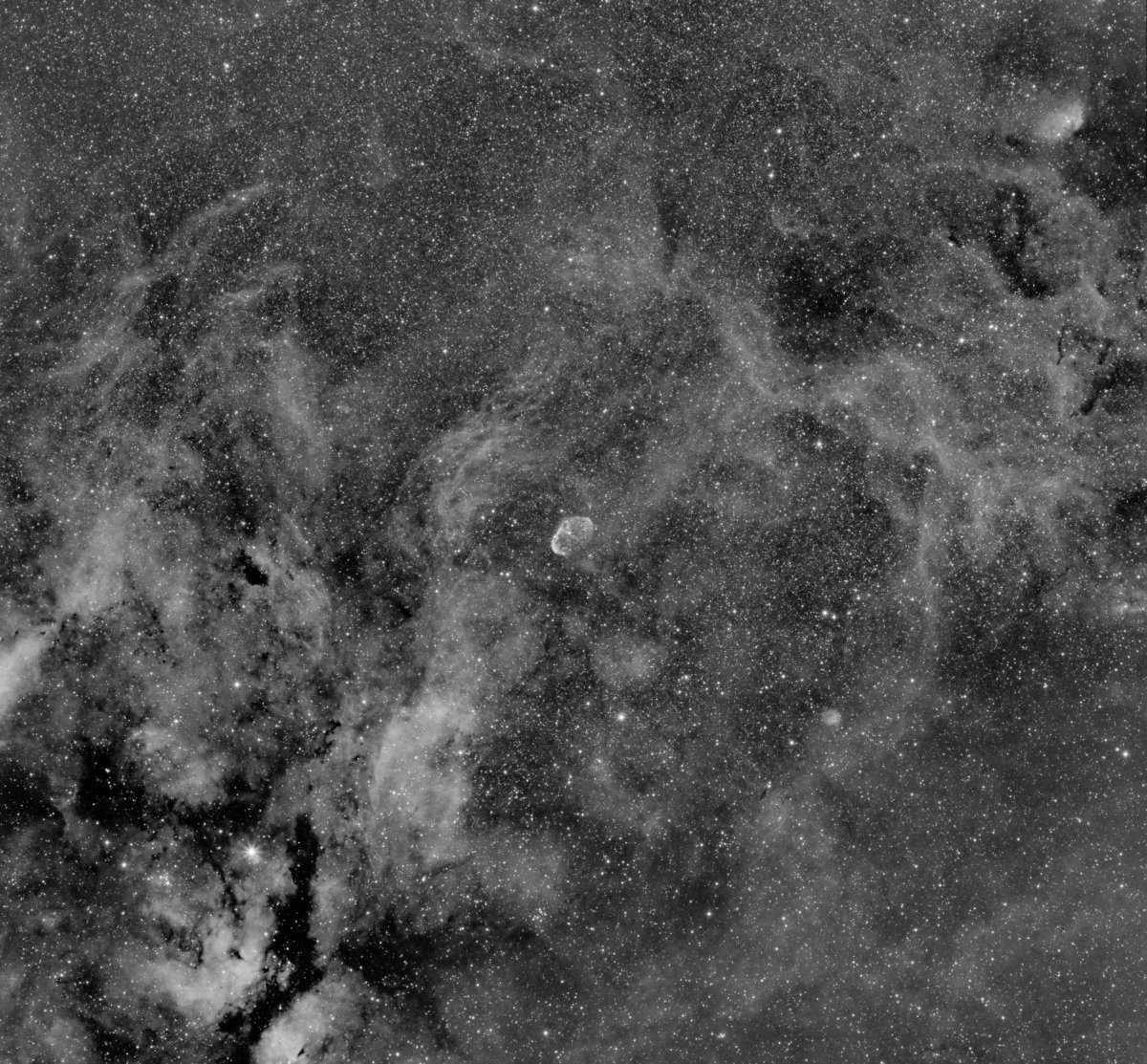 20140730_01_S001_12_N6888_...soft version..._r1200.jpg