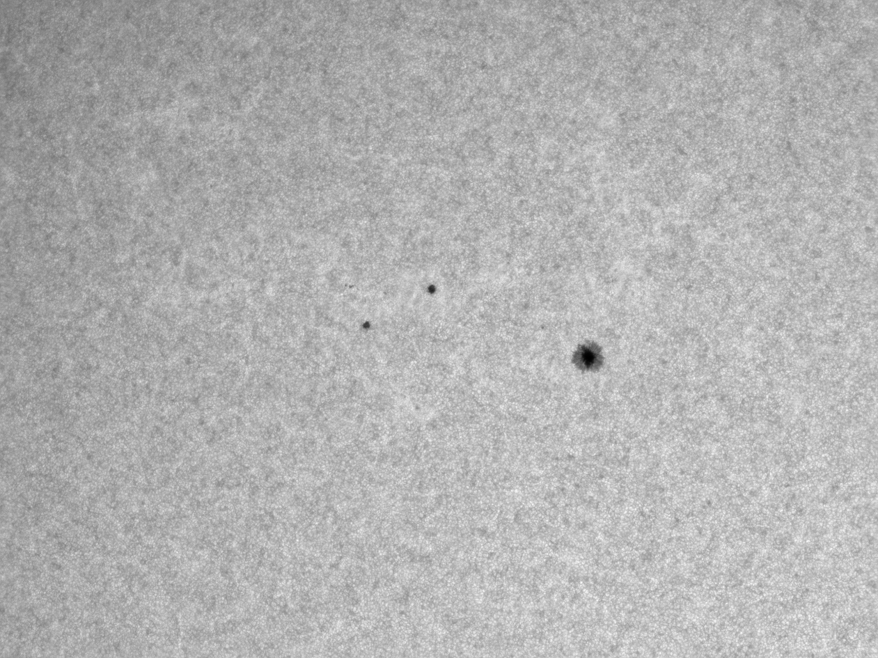 2023-06-03-1501_9-MF-L-Sun_ZWO ASI120MM-S_Gain=33_Exposure=.2ms_Gamma=50(off)_pss_f100_p10_b48...jpg