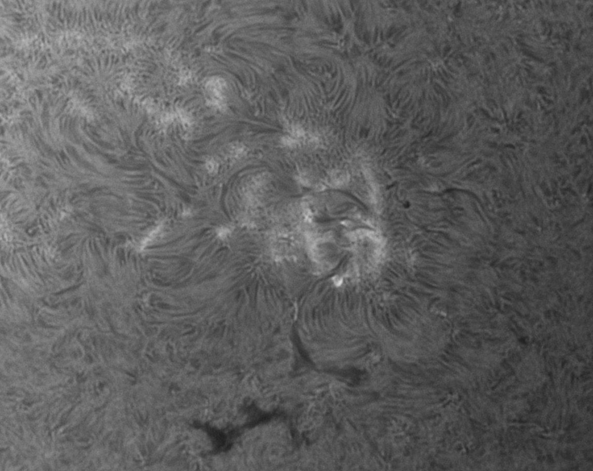 20260927_1521UT_Sonne_Ha.jpg