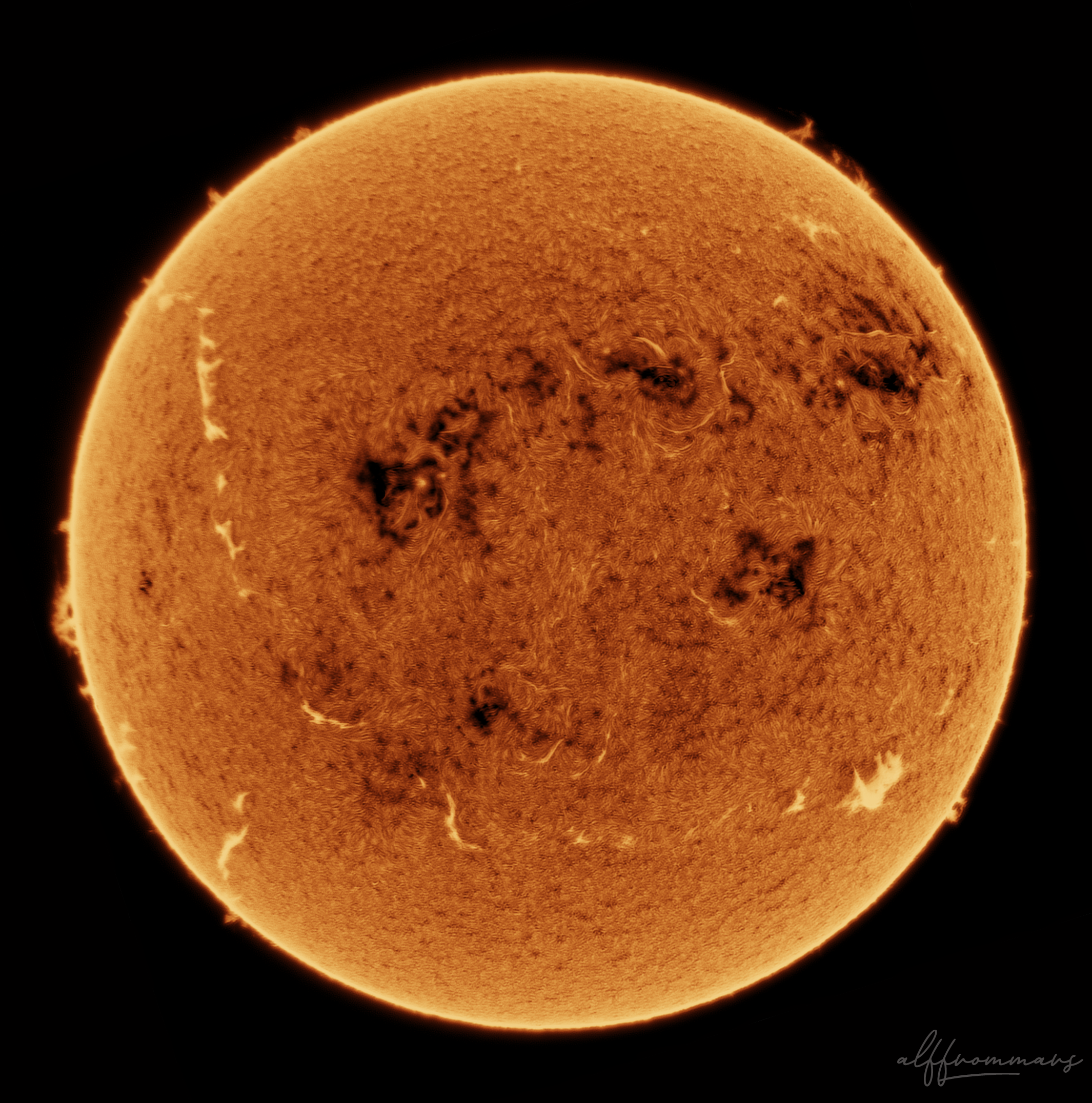 29.04.2026