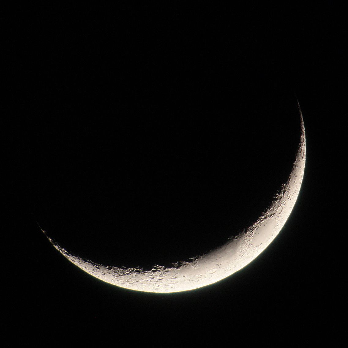 91298939_1.jpg