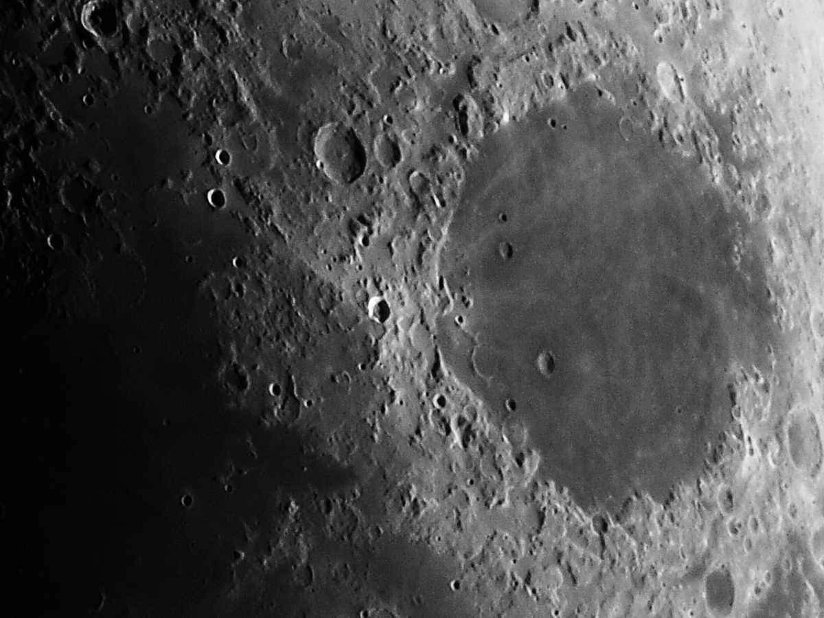 _3060926JpegAdeklein1.jpg