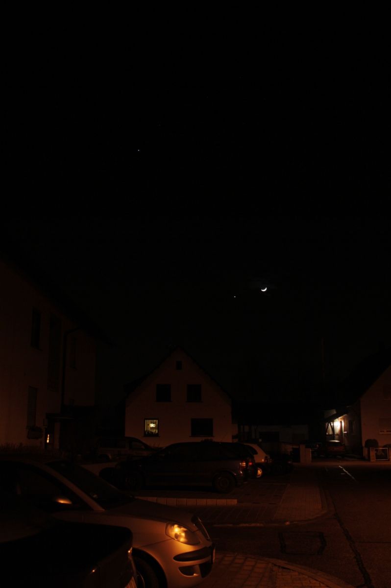 _MG_3446.JPG