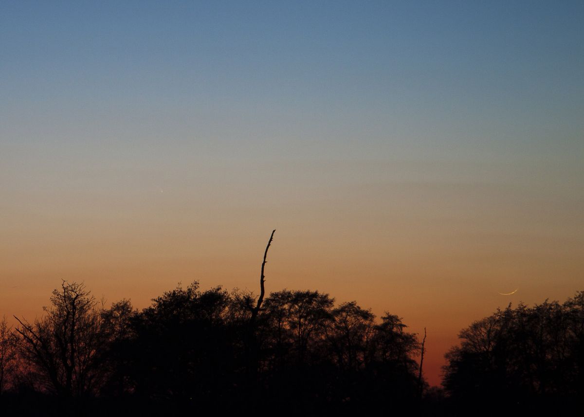 _MG_9449_Komet PANSTARRS_04.jpg