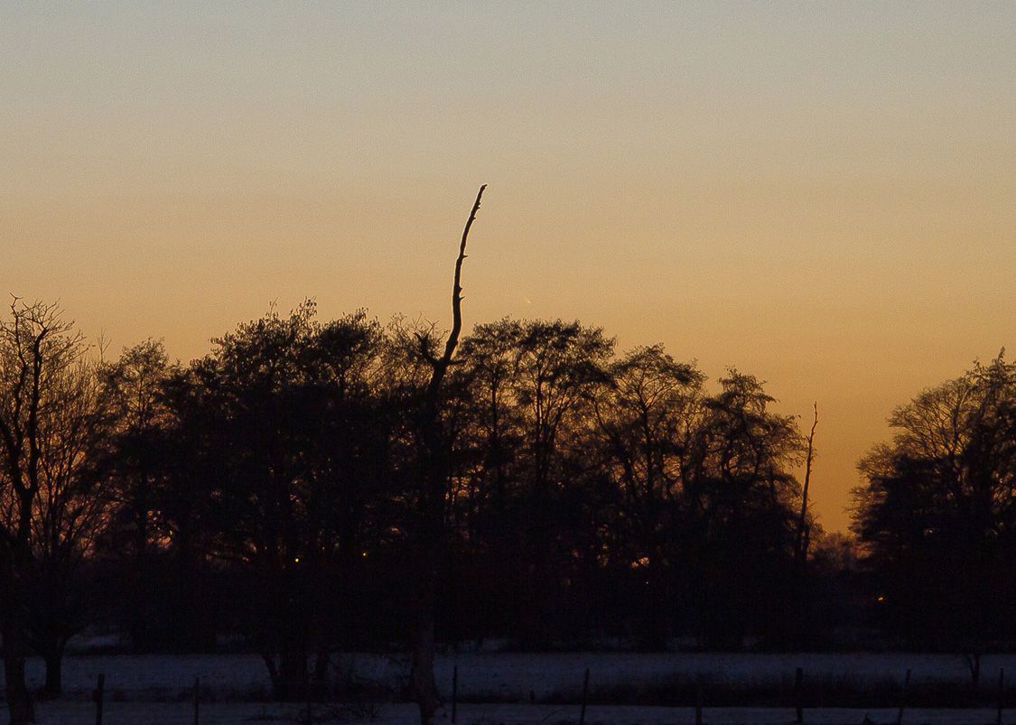 _MG_9453_Komet PANSTARRS_07.jpg