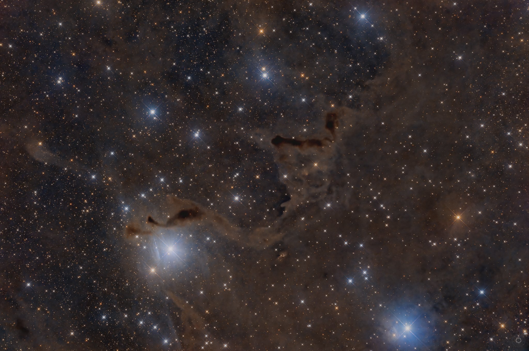A Helping Hand in Cassiopeia