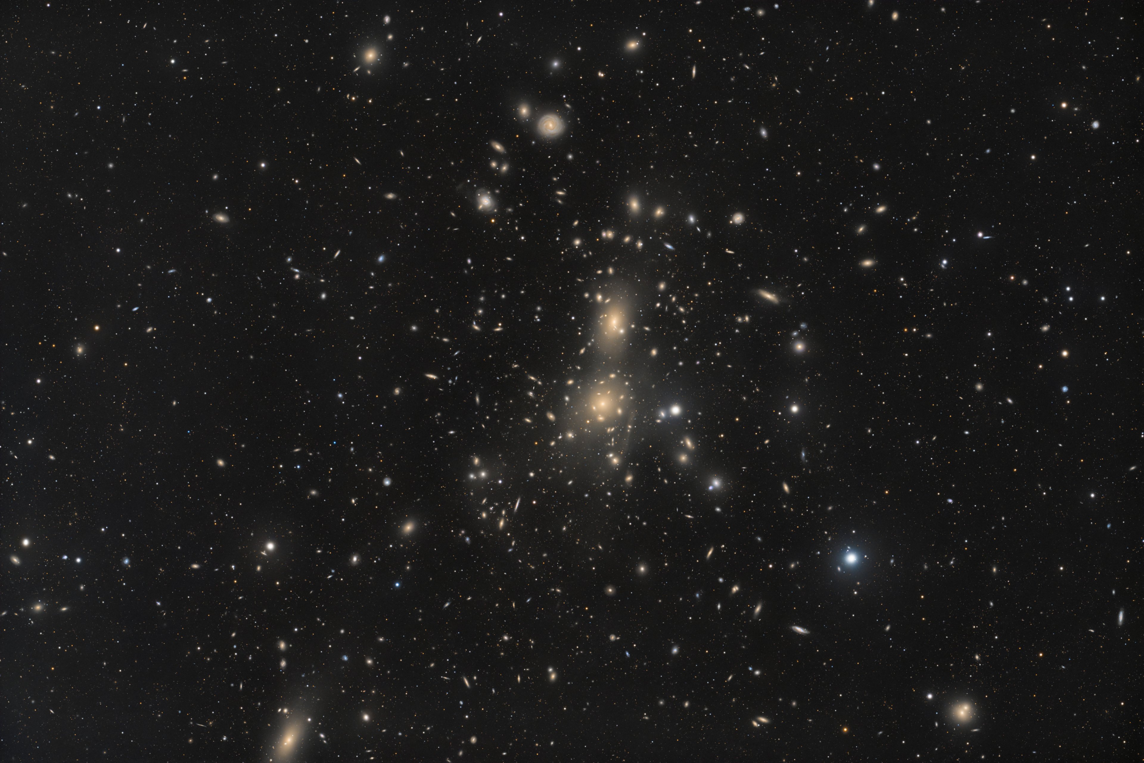 Abell 1656 – der Coma Galaxienhaufen