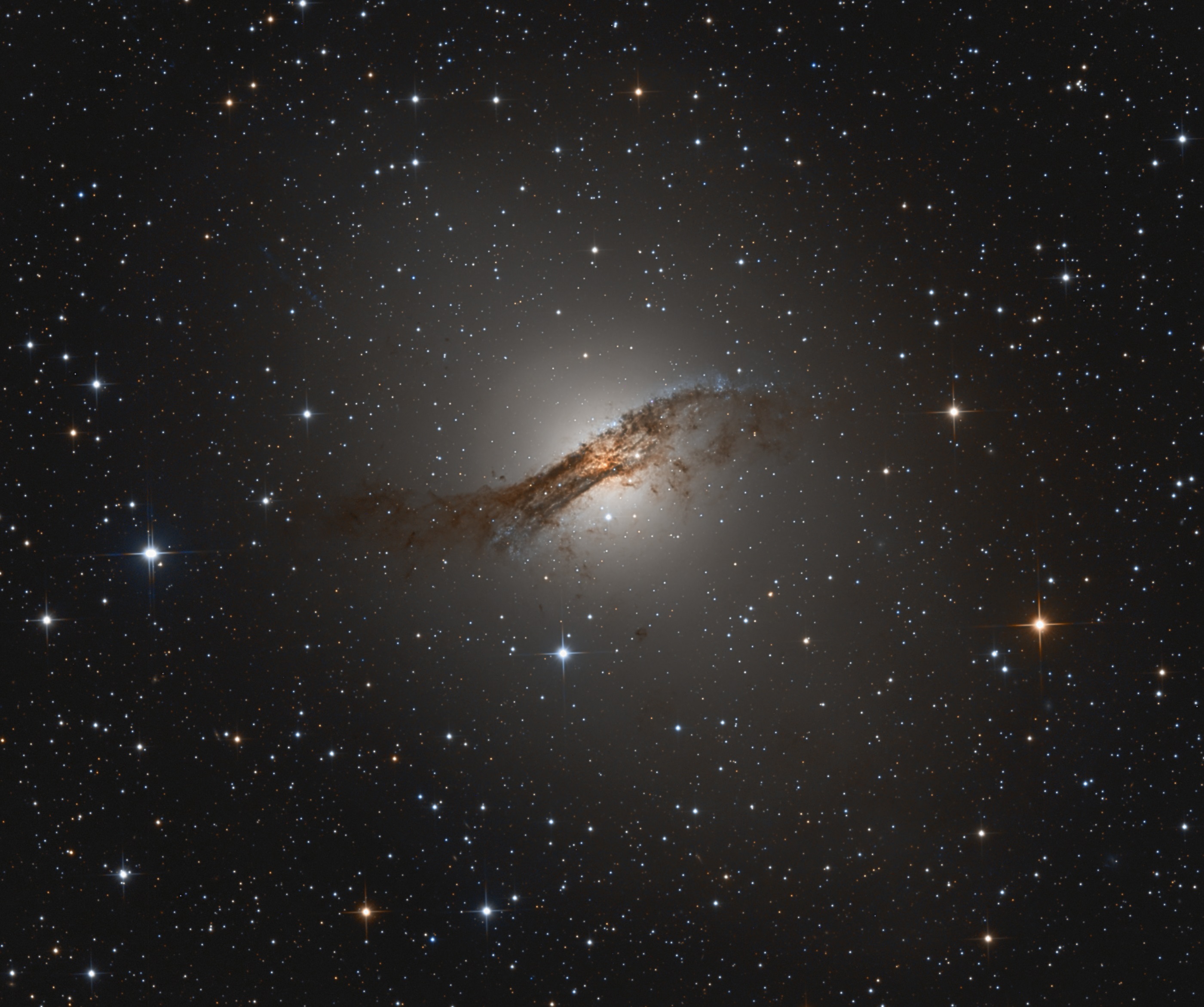 adw-2019-01kw.jpg