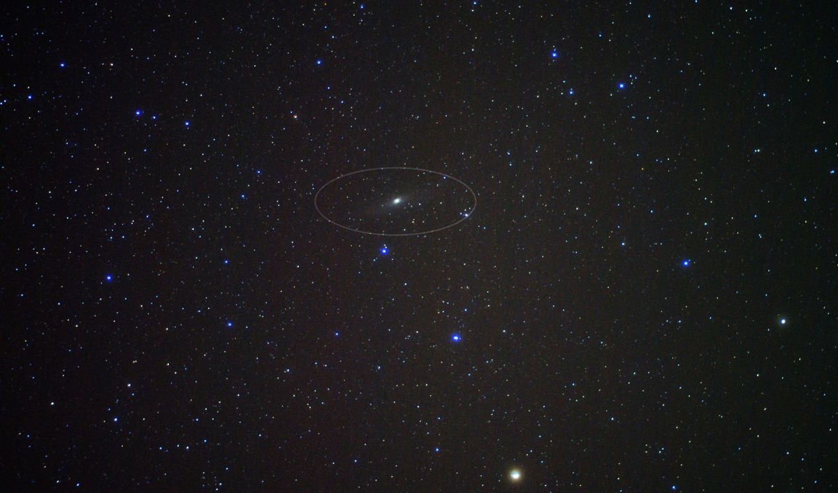 Andromeda