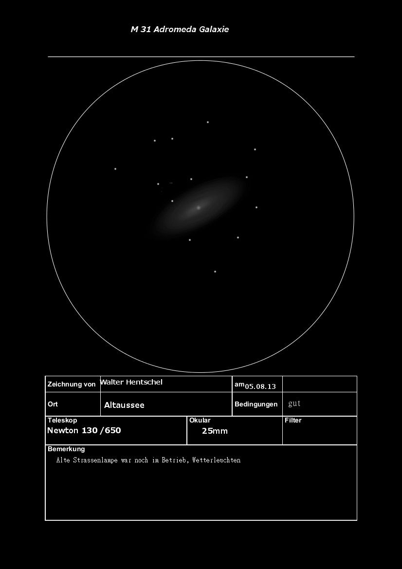 Andrometa M310001.jpg