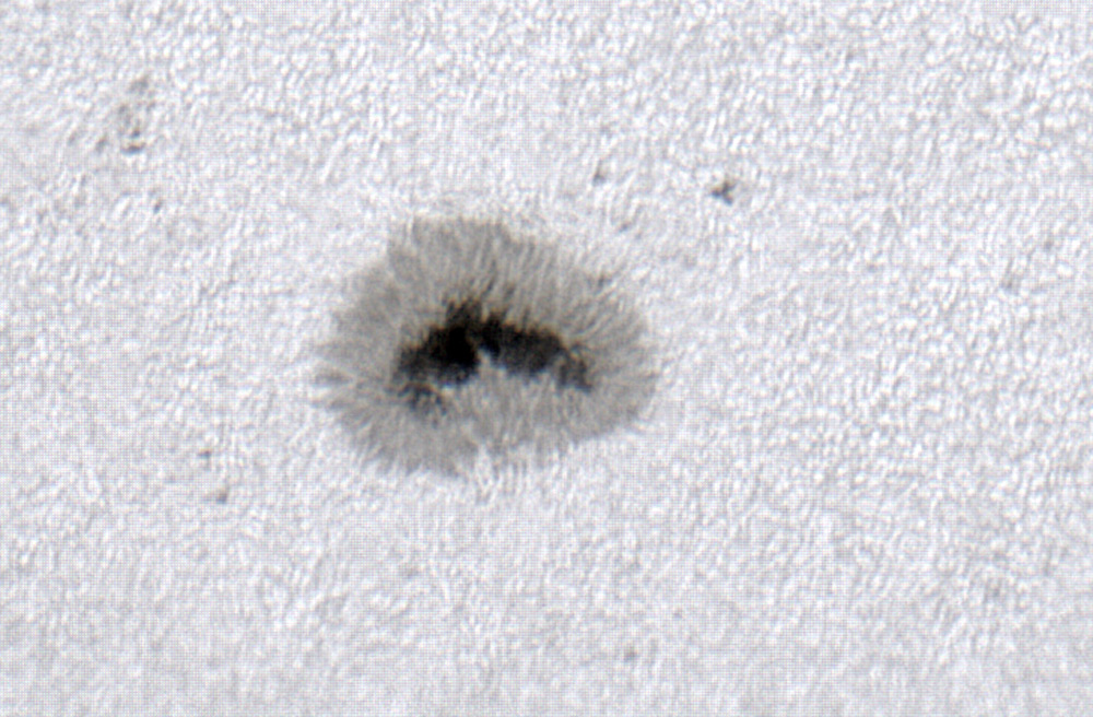 AR-13321 am 04-06-23 mit OMC140 + ASI 178MC um 13_13 MESZ.jpg
