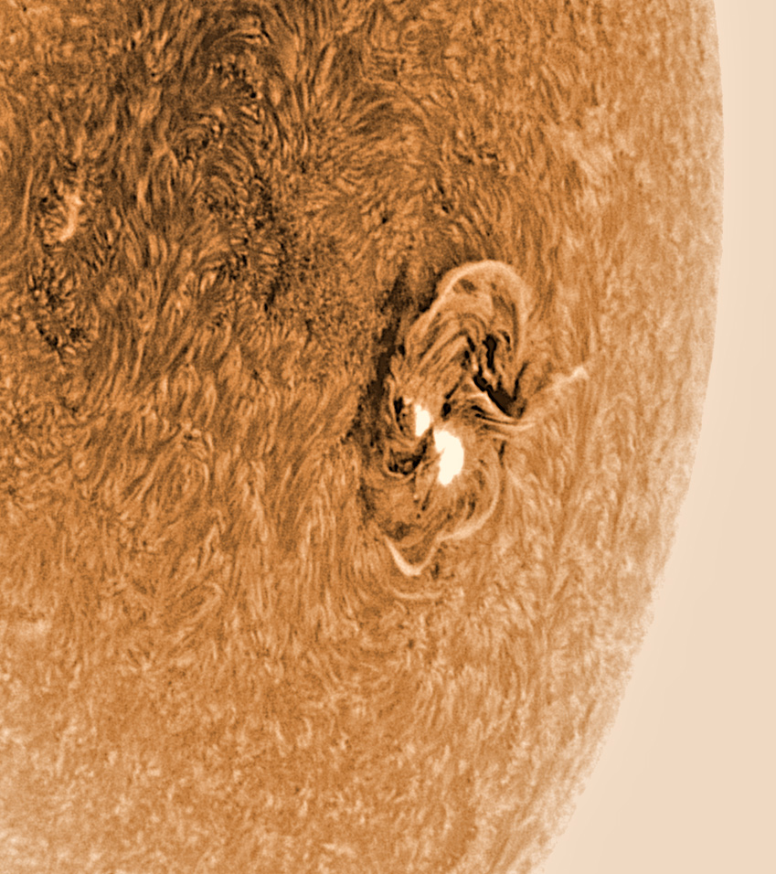 AR 13363 am 16-07-23 um 10-01 MESZ im H-Alphalicht invertiert und eingefärbt mit PST-Umbau.jpg