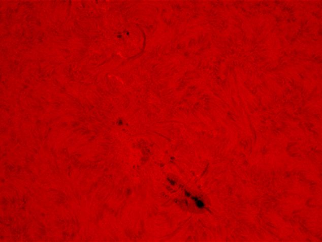 AR 1785 vom 07.07.2013 in H-Alpha