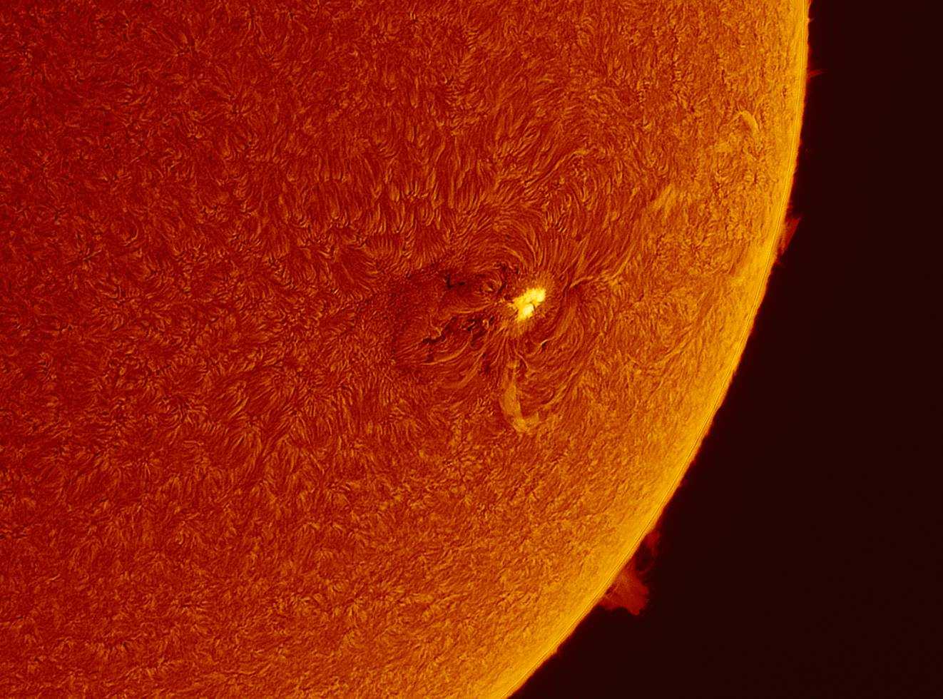 AR 2529 vom Sonntag