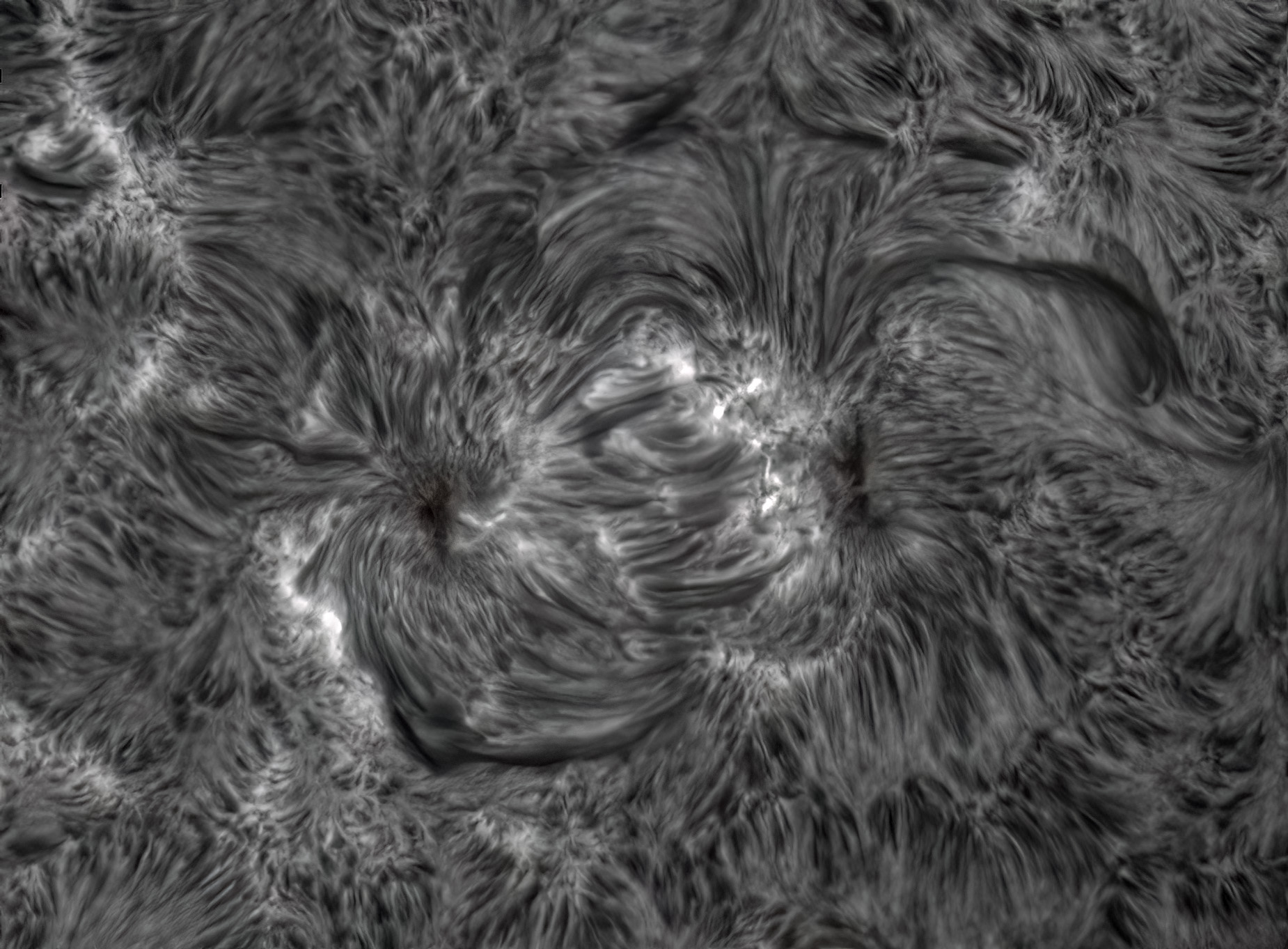 AR200b.jpg