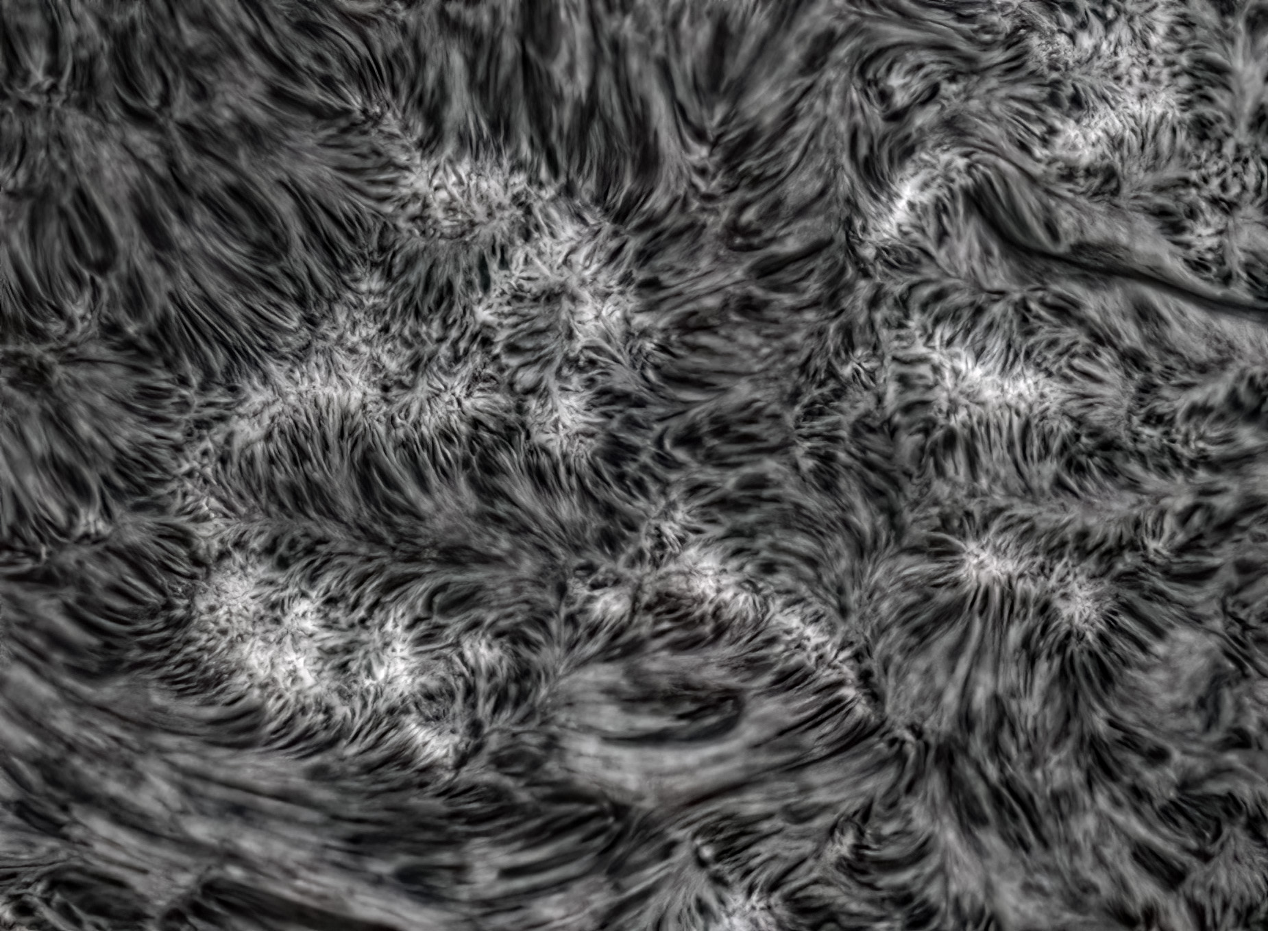 AR200c.jpg