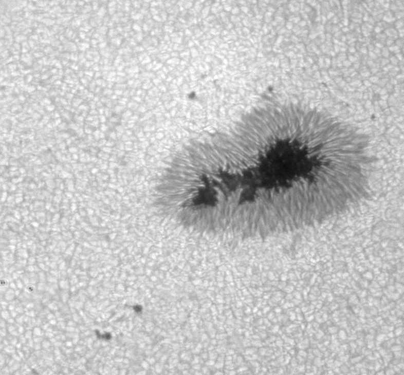 AR2418