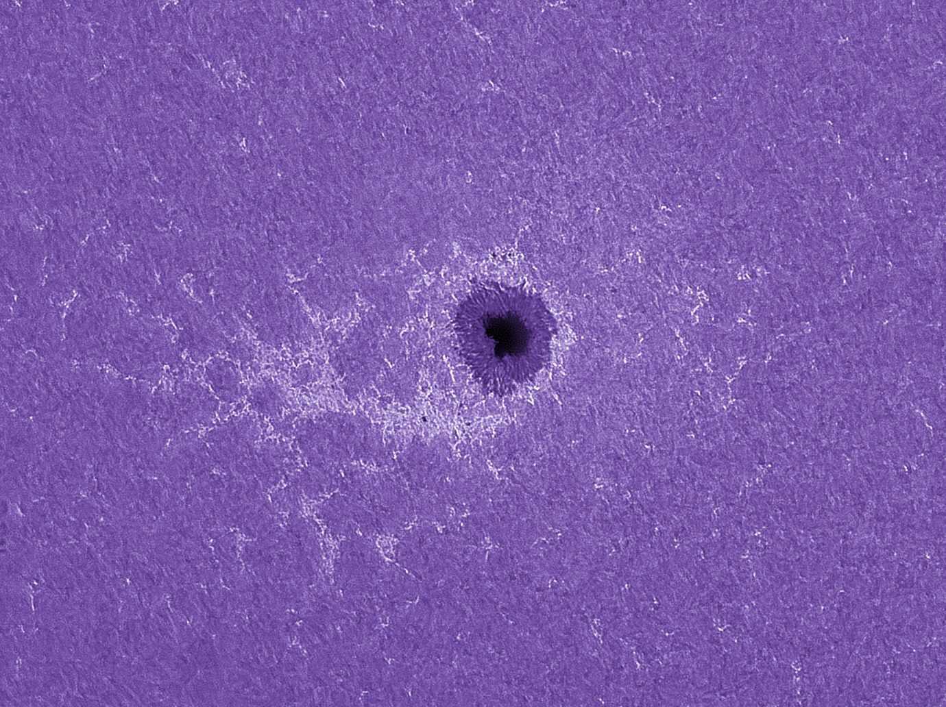 AR2546 im Kalziumlicht