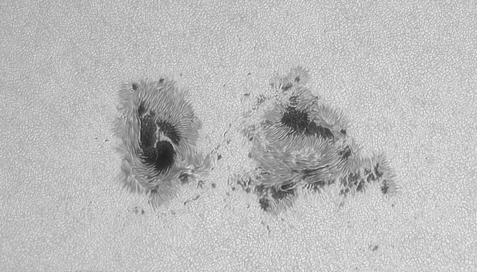 ar4274_7-9-25.jpg