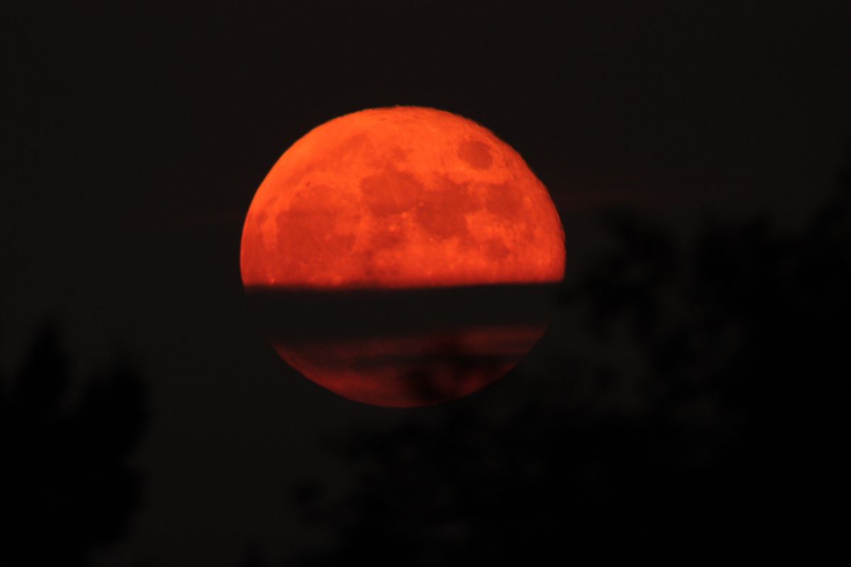 Aufgehender Vollmond