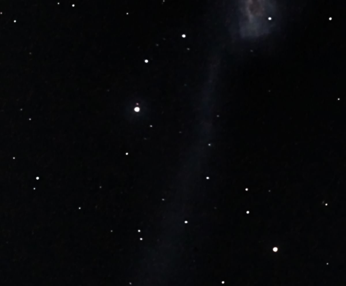 bearbeitet crop.jpg