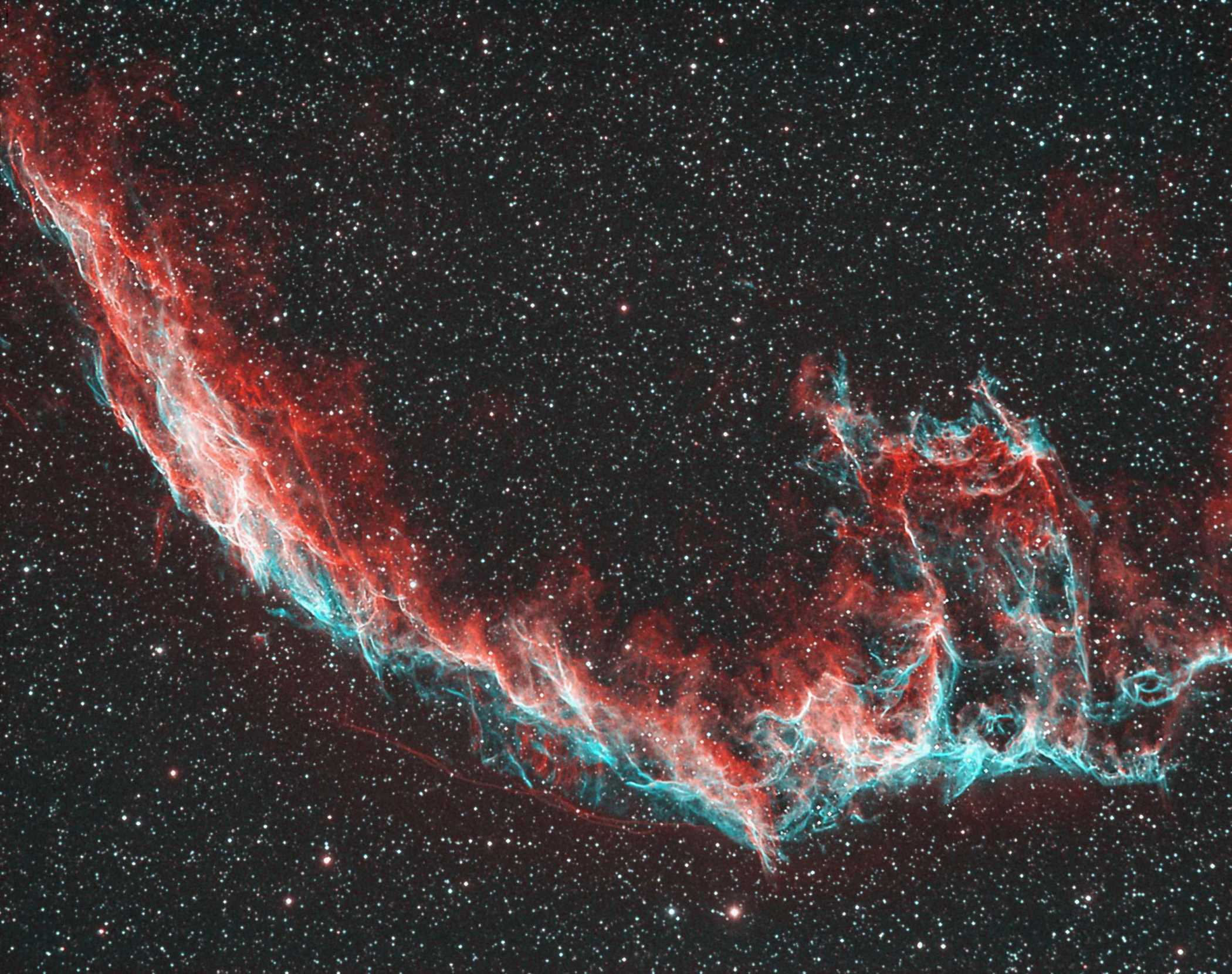 Bicolor in einer Nacht