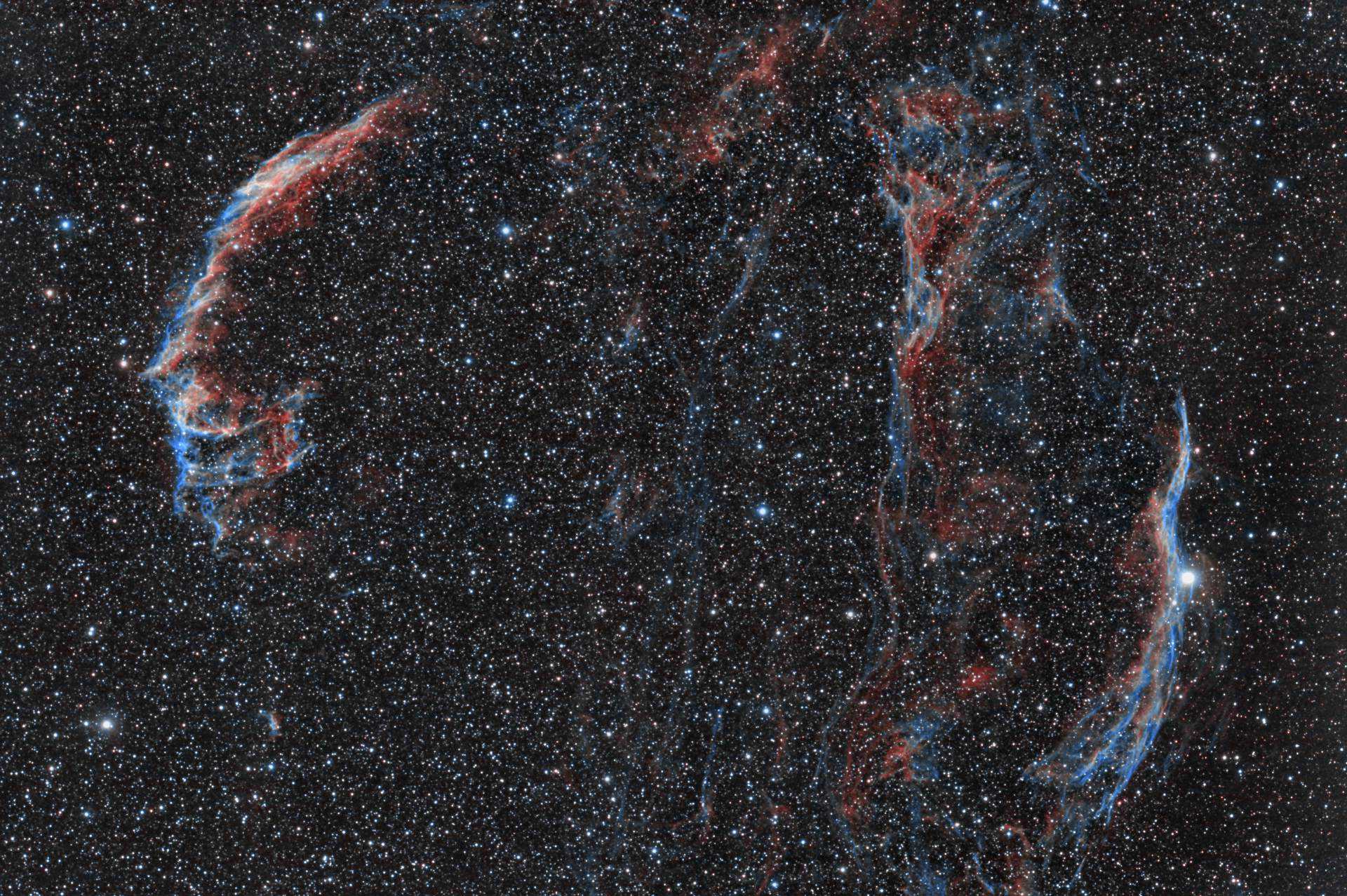 bicolor_cirrus_500.jpg