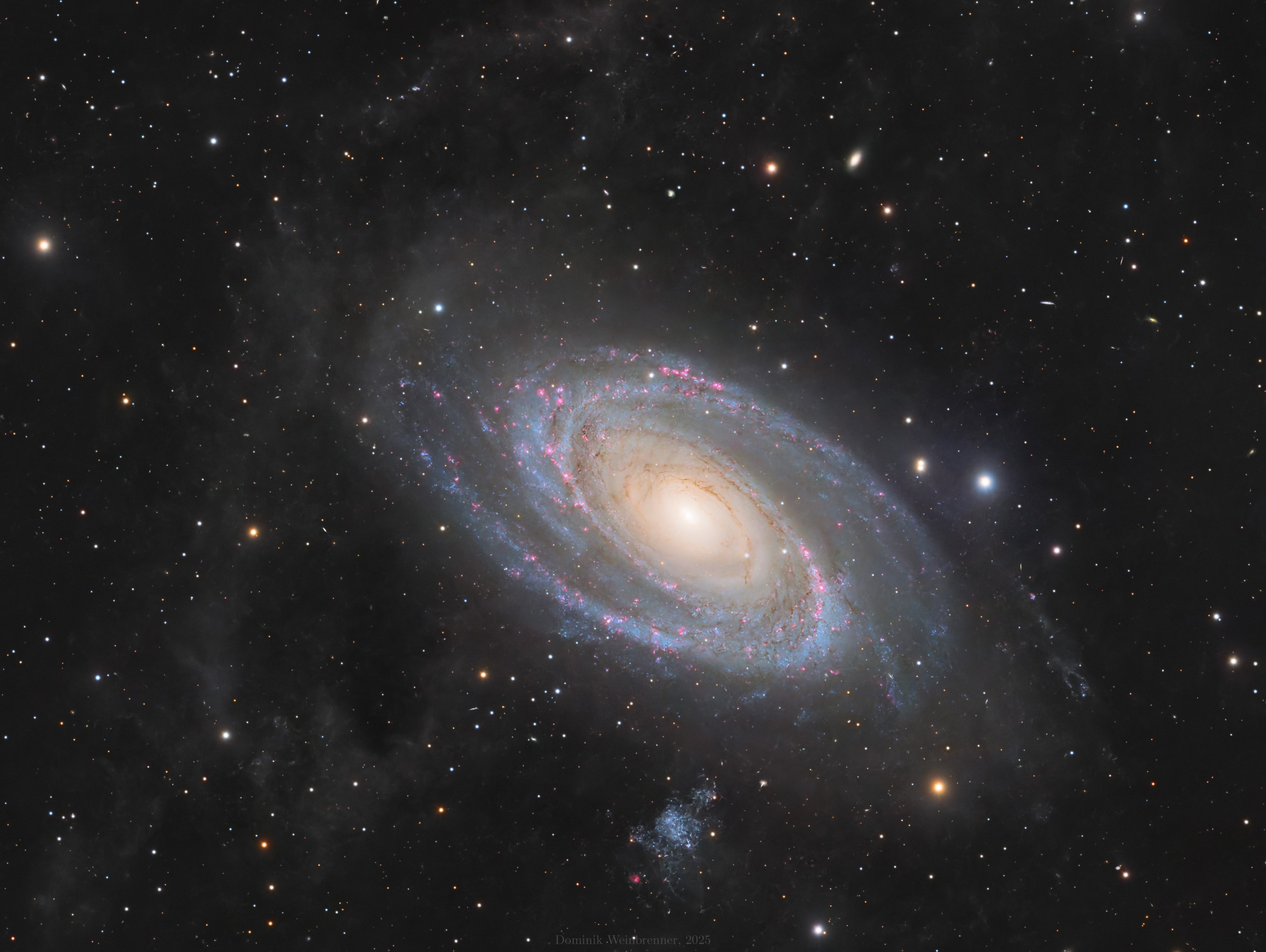 Bode's Galaxie mit Holmberg IX udn IFN