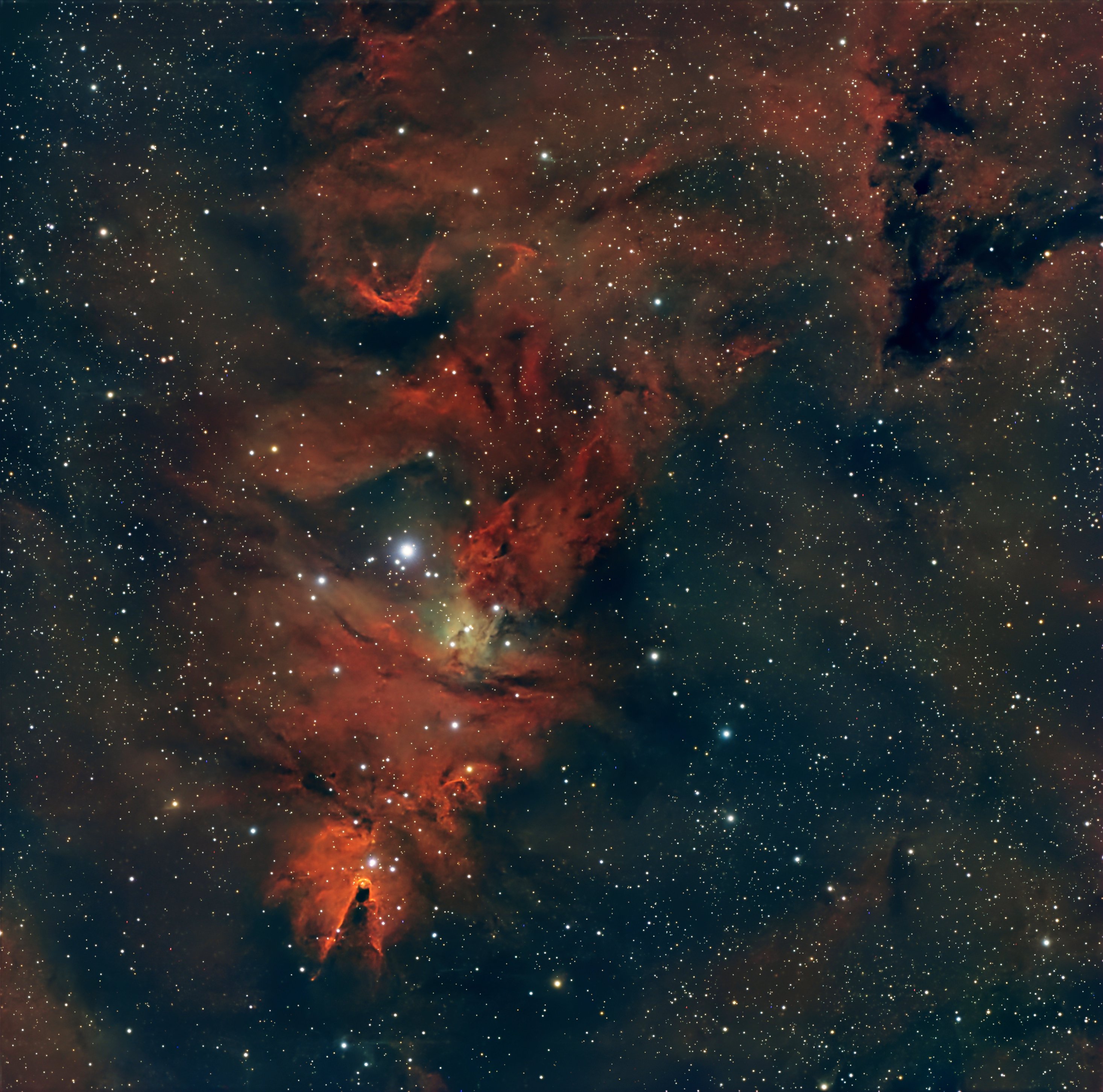 Christmas Tree Cluster (NGC2264+SH2-273)