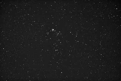 Christmastree-Cluster
