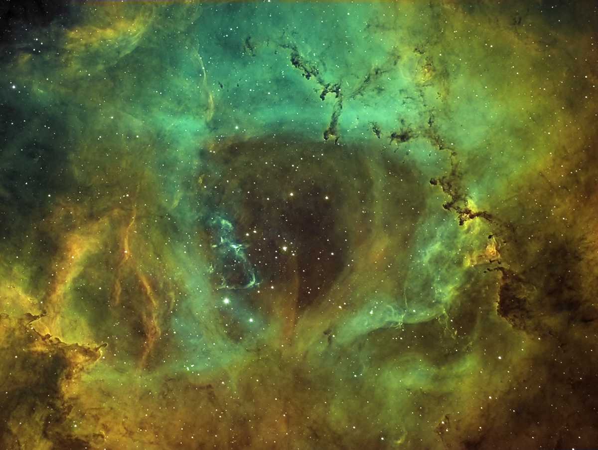 Co-Op NGC 2244