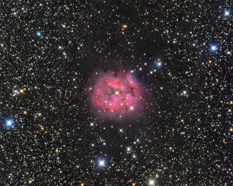 Cocoon-Nebula