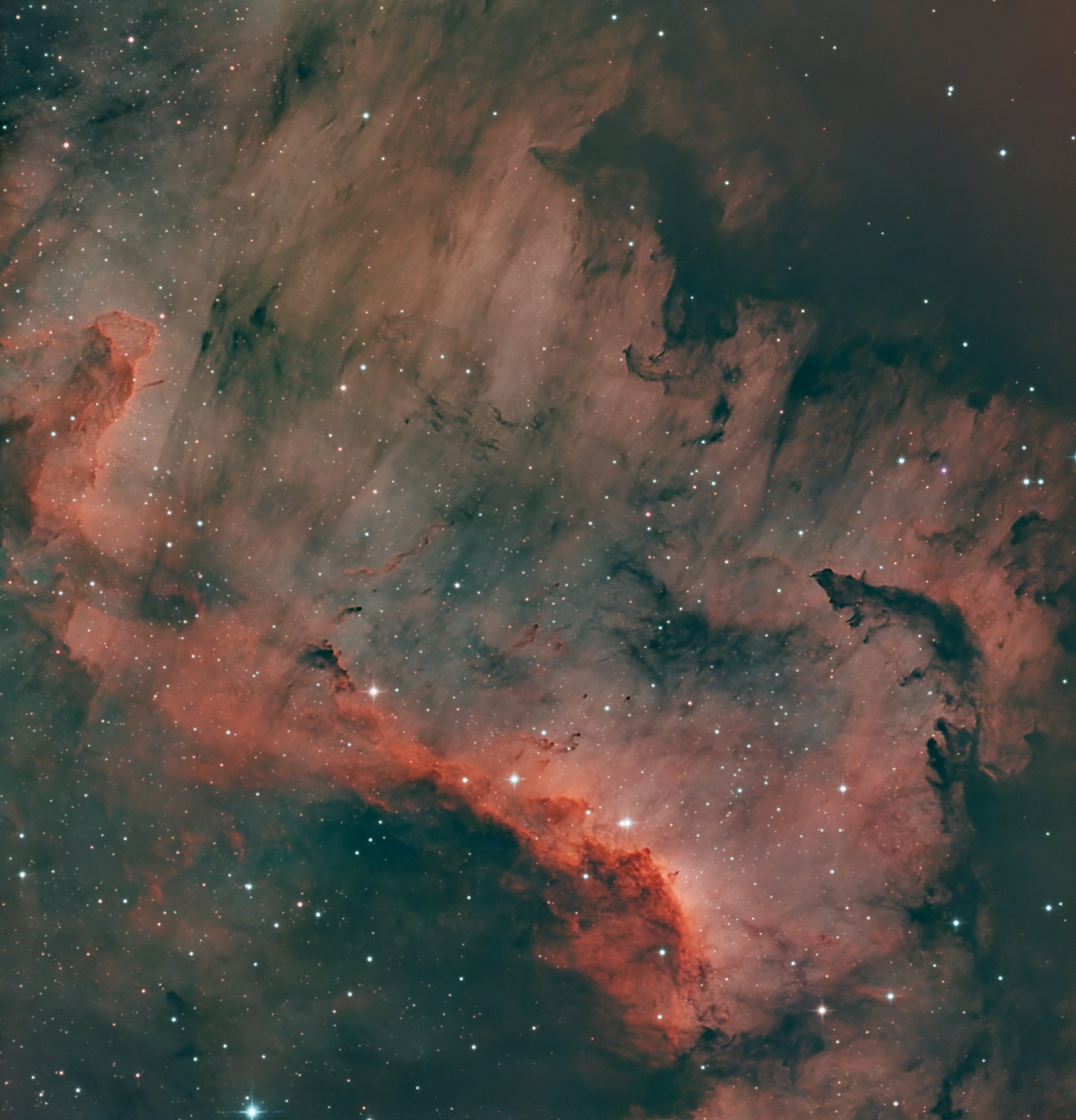 Cygnus Wall NGC7000.jpg