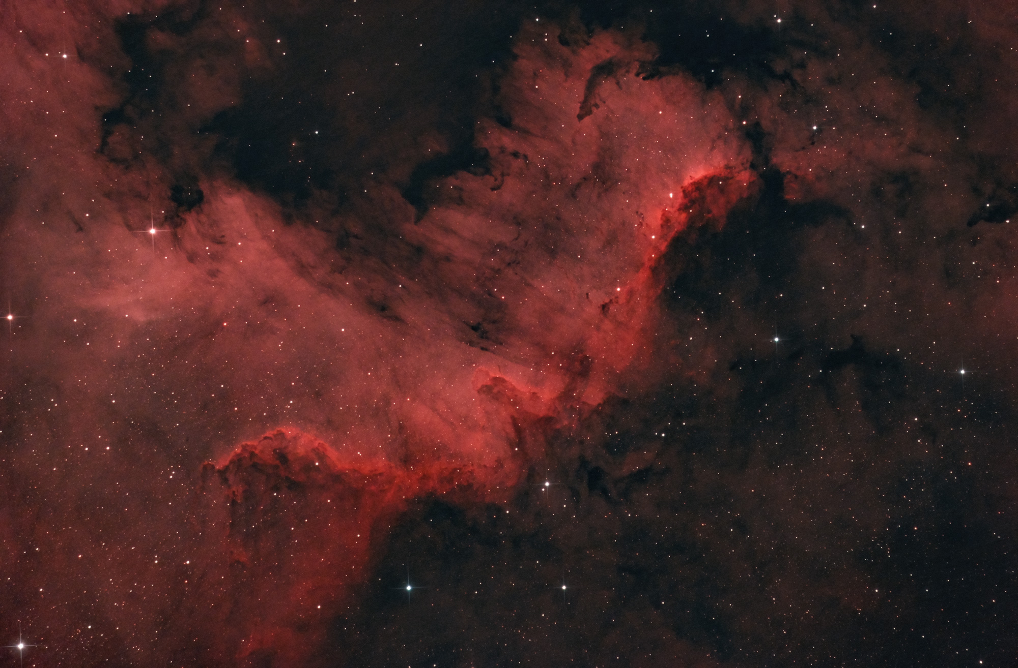 Cygnus Wall