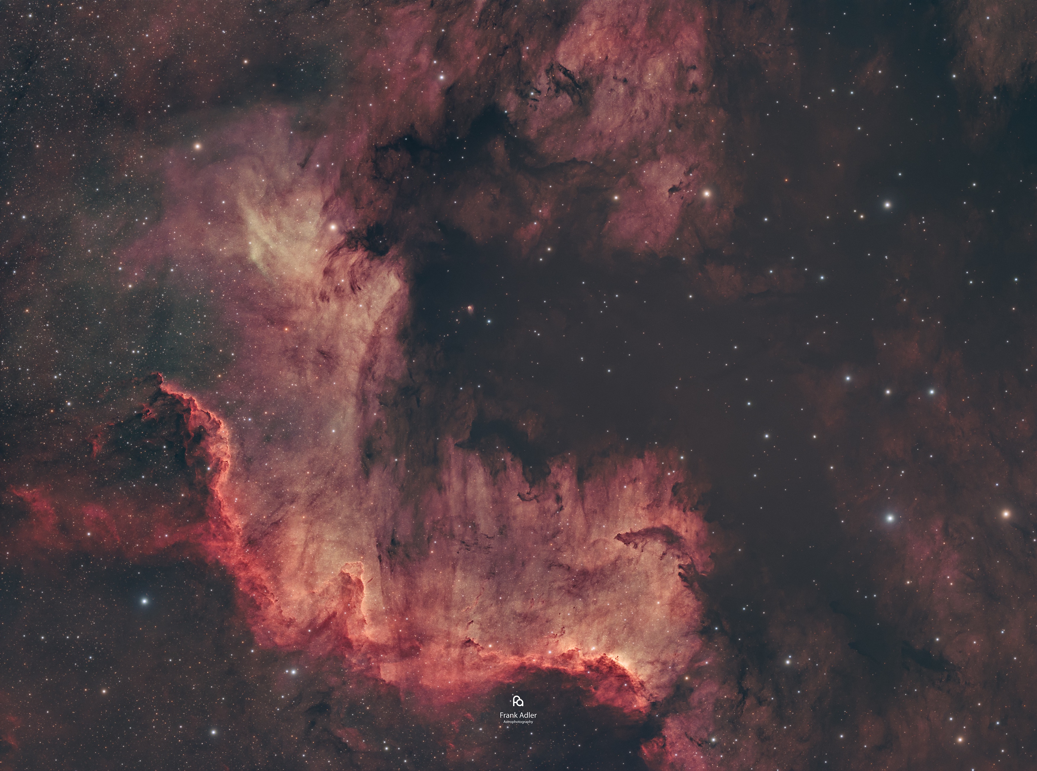 Cygnus Wall