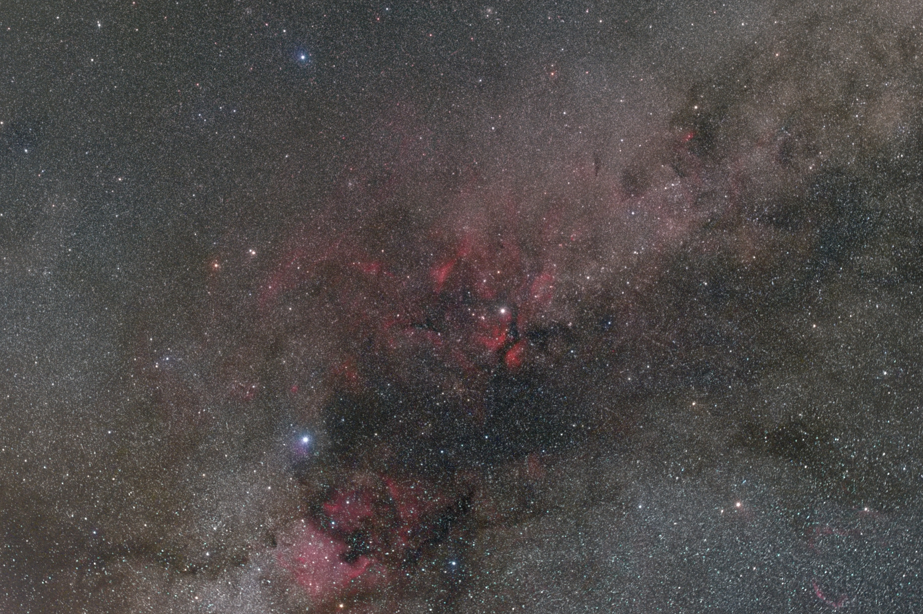 Cygnus Widefield.jpg | Forum Astronomie.de