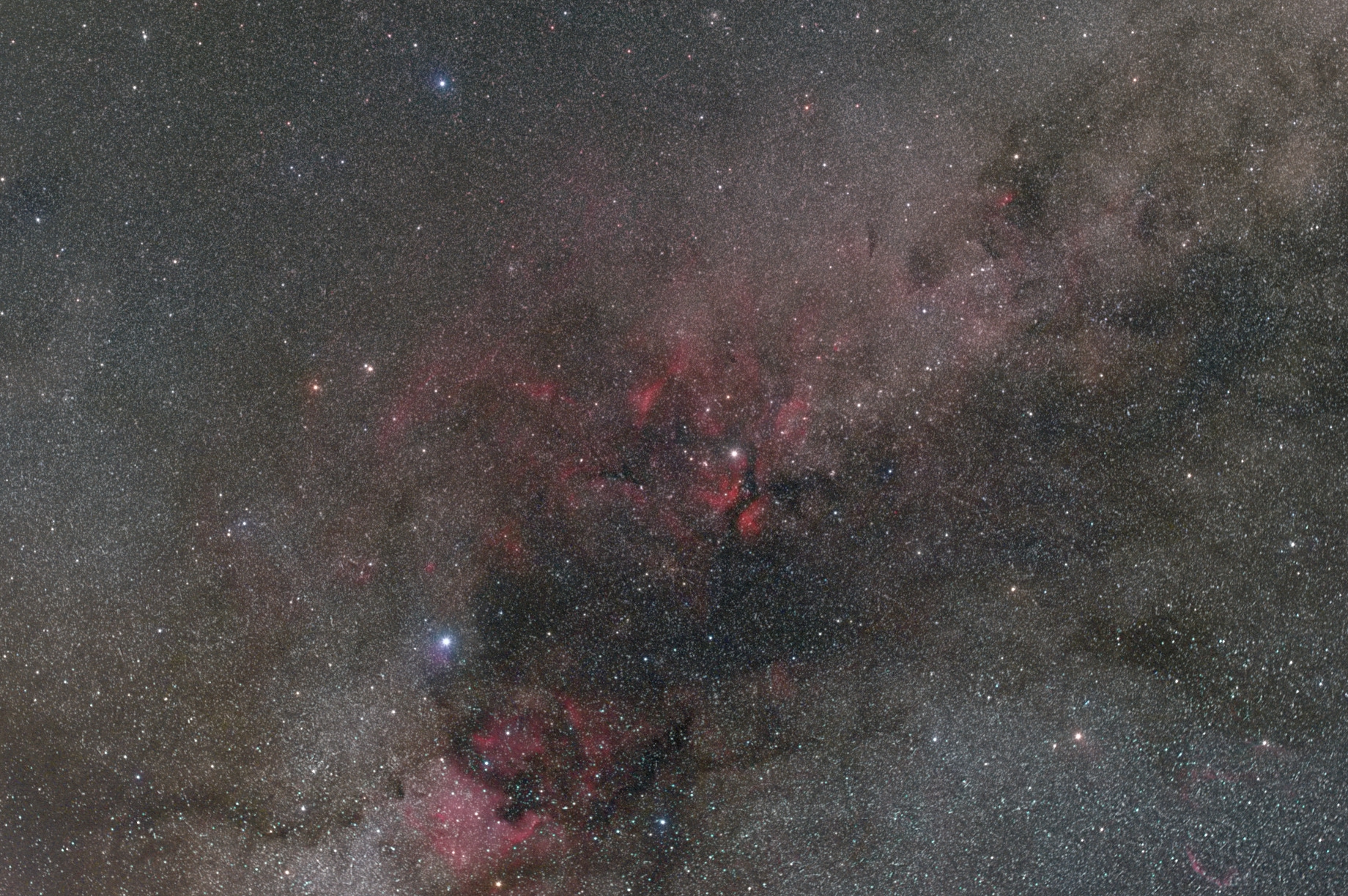 Cygnus Widefield.jpg