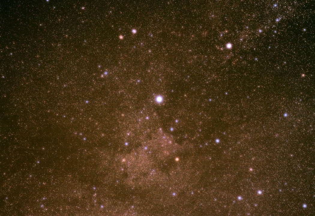 Cygnus