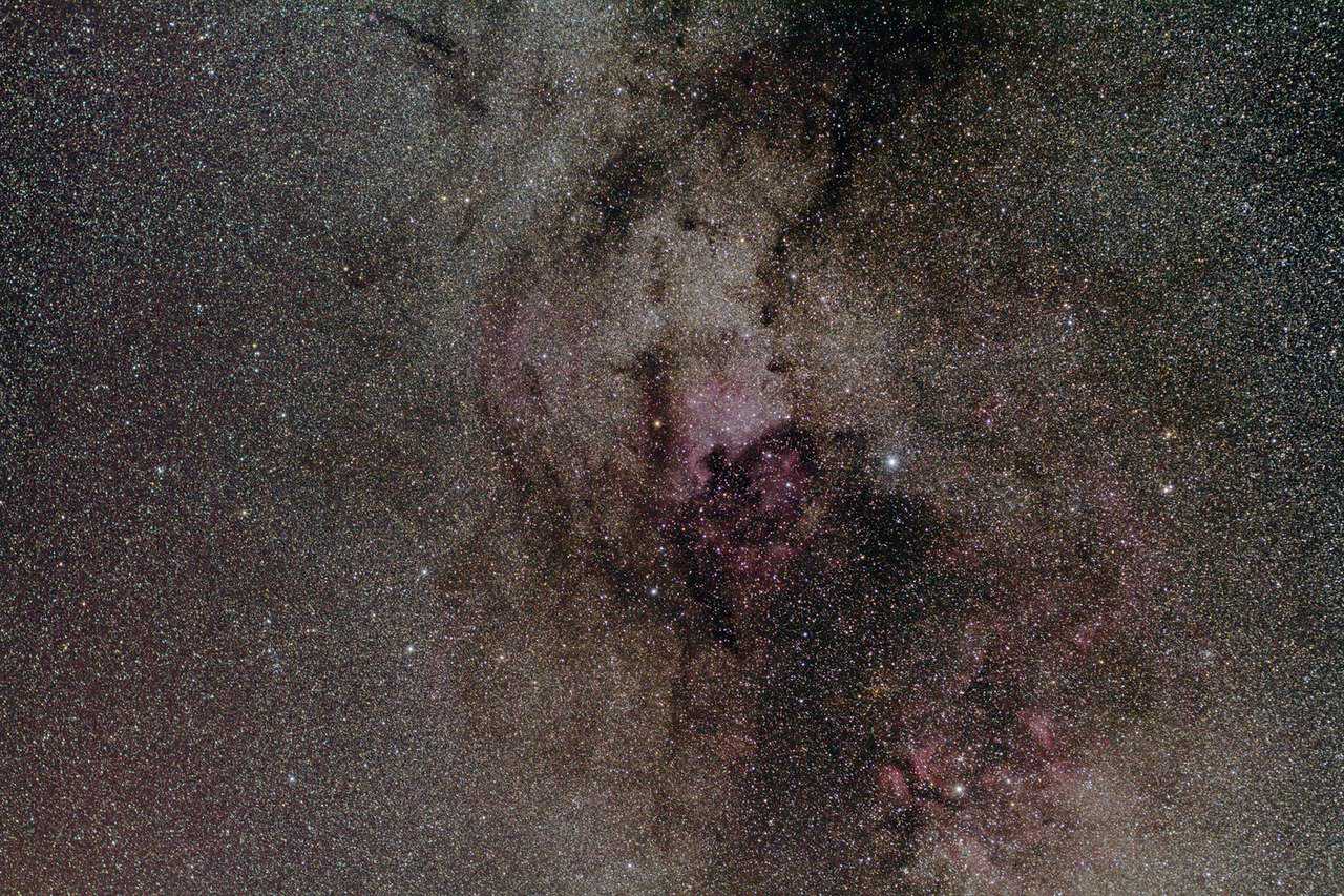 Cygnus50mm.jpg