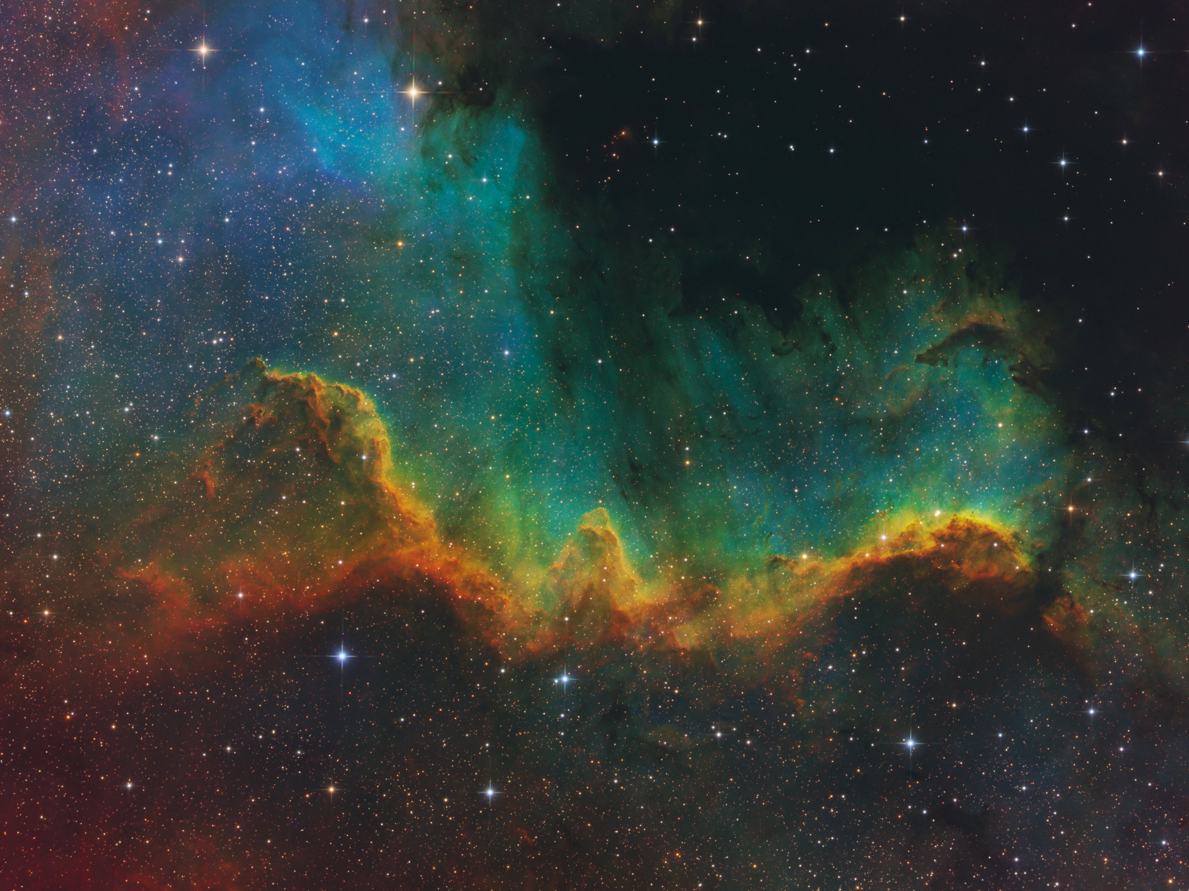 Cygnus_Wall_v2_4_3_web.jpg