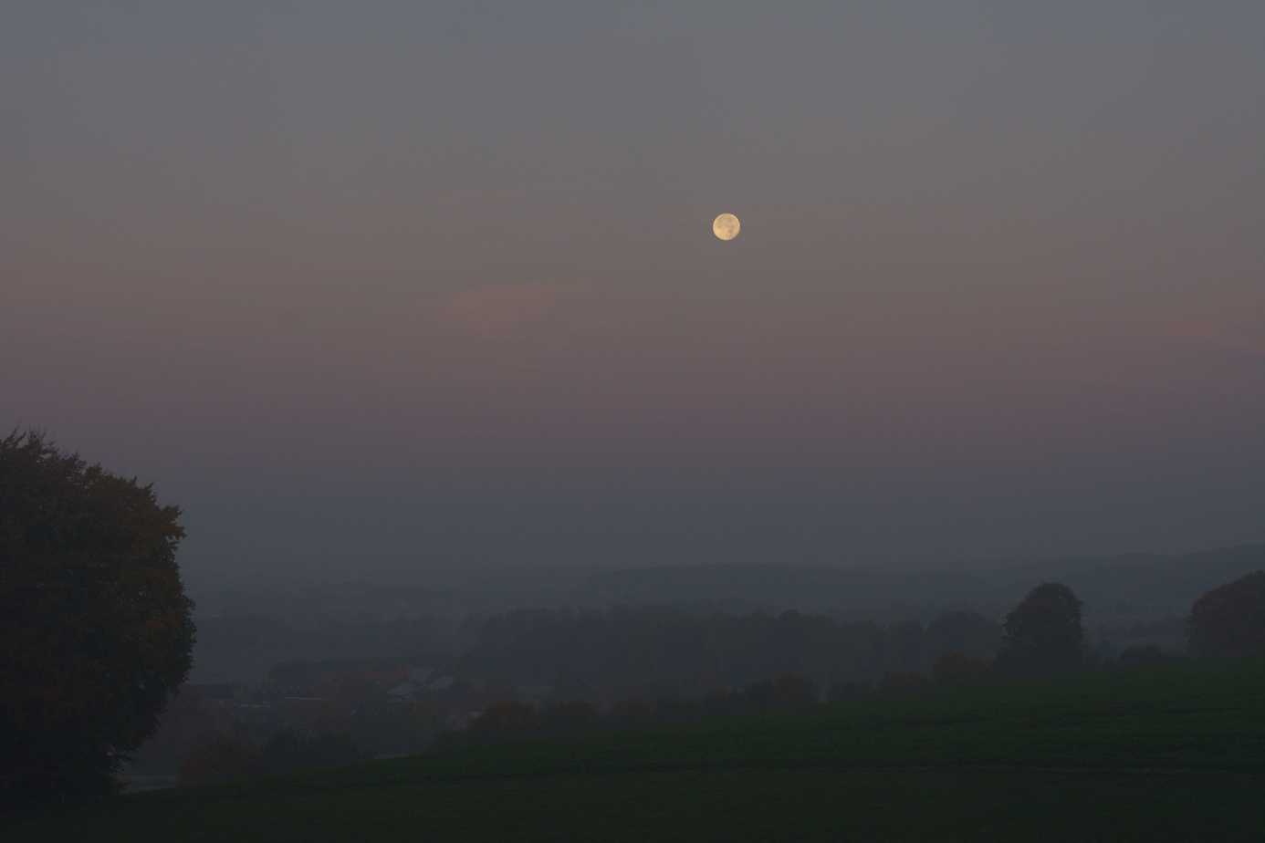 D7133k.jpg